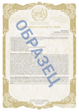 Образец Приложение к СТО 01.064.00220722.2-2020 Балабаново Сертификат СТО 01.064.00220722.2-2020 